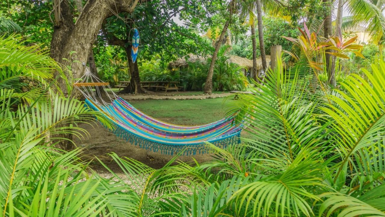 Los Corales Beach Village Punta Cana Exteriér fotografie